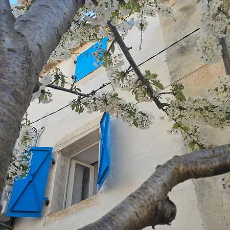 Casa Nini - Charming Stone House With Yard Near Pula Casa de Férias *